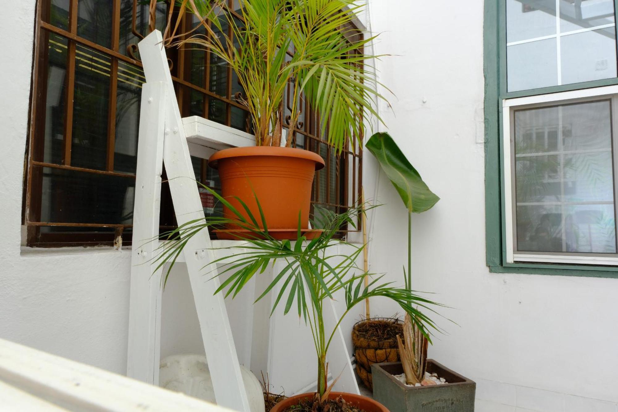 Rooftop Dreamhouse - 3Br With Seaviews Santa Cruz de la Palma  Bagian luar foto