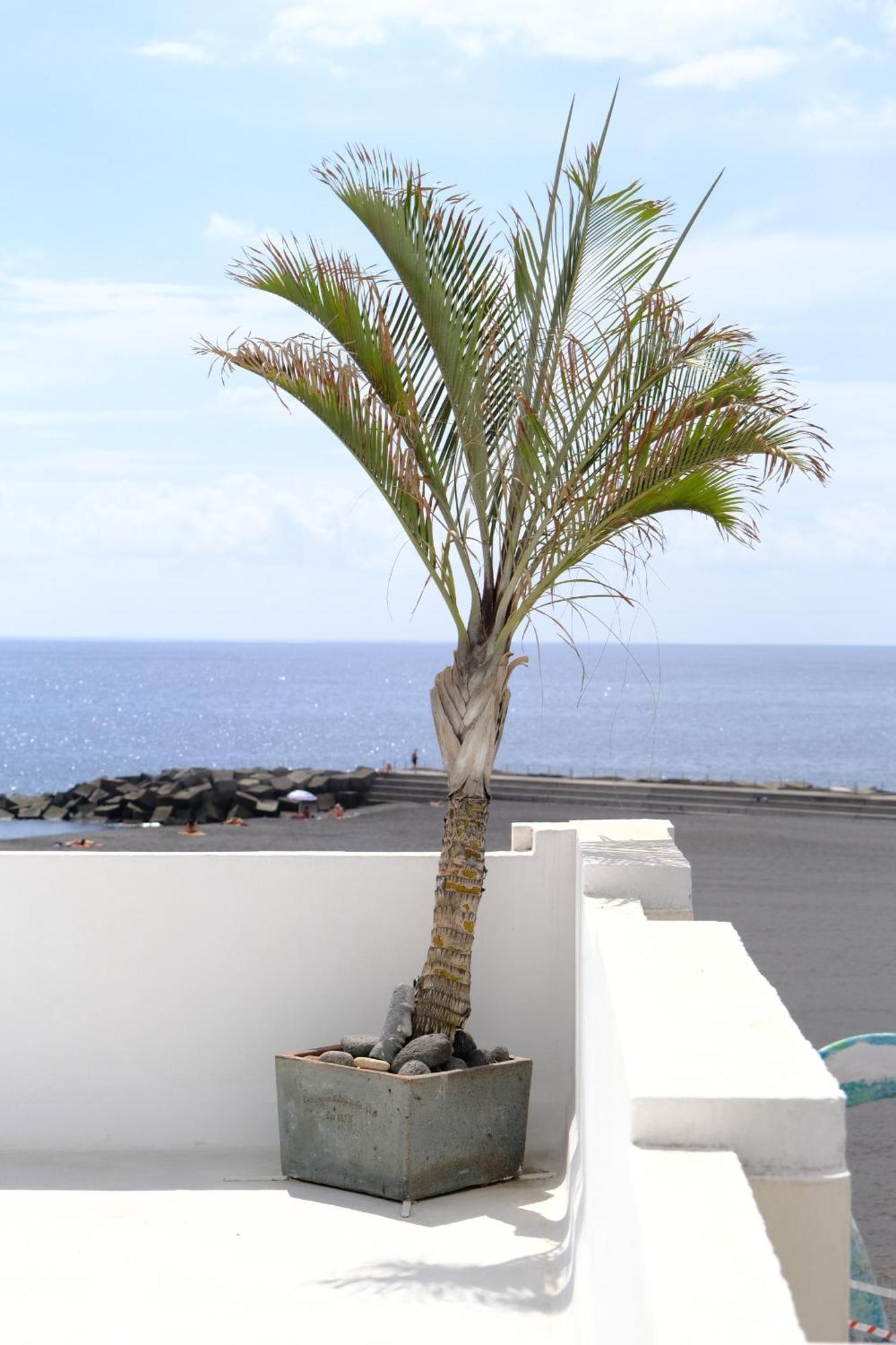 Rooftop Dreamhouse - 3Br With Seaviews Santa Cruz de la Palma  Bagian luar foto